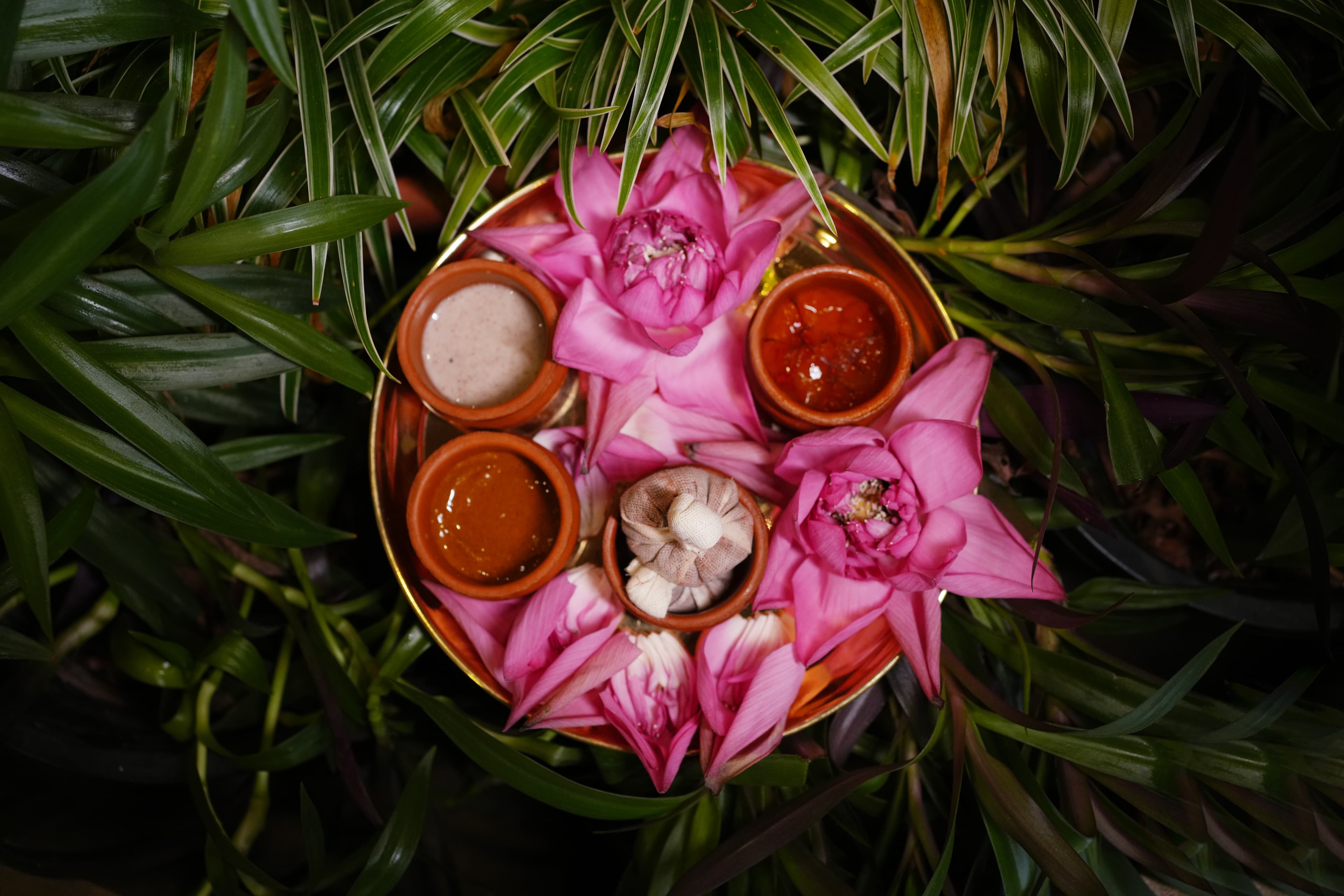 Authentic Ayurvedic herbs and natural formulations from Kerala